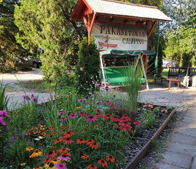 pakasz-tanya-kemping-agard.jpg - Pakasz Tanya Kemping - Agárd